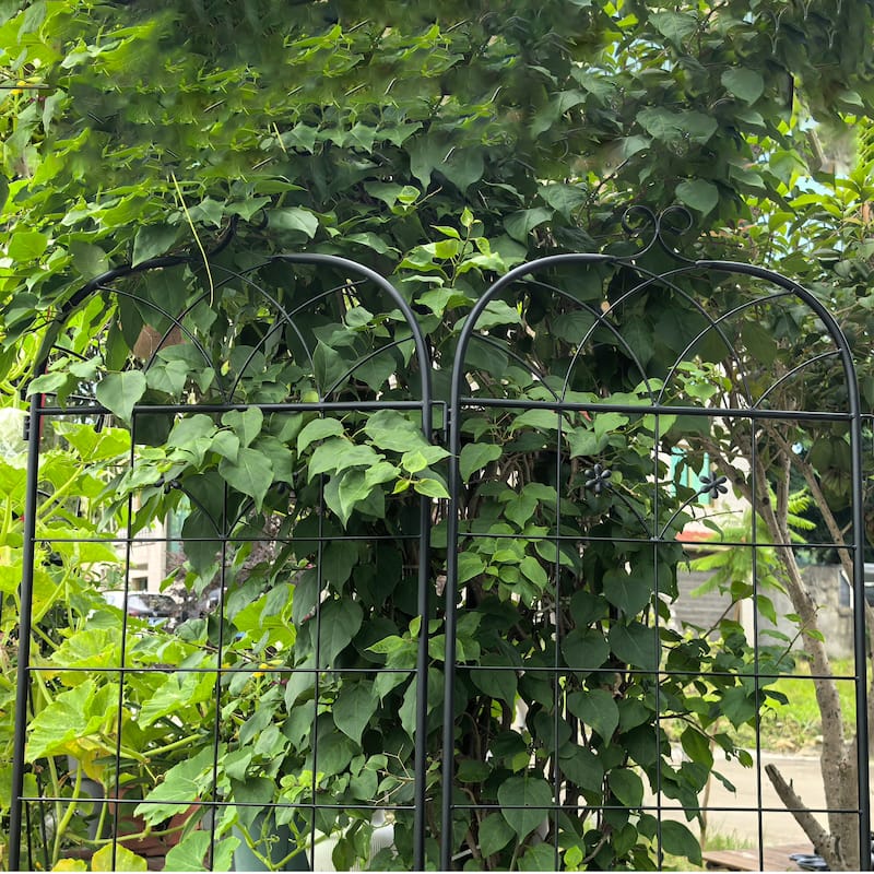 Metal Garden Trellis, 2 Pack Metal Trellis for Climbing Plants, Indoor/Outdoor Plant Trellis, Lawn Garden Fence Decor Screen