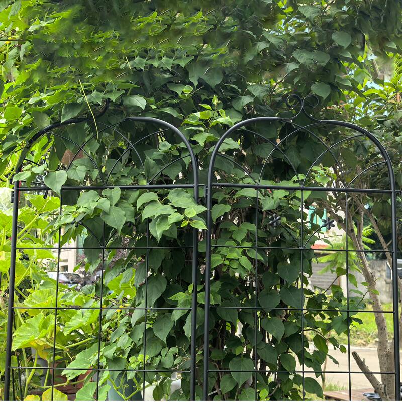Metal Garden Trellis, 2 Pack Metal Trellis for Climbing Plants, Indoor/Outdoor Plant Trellis for Potted Plants House Plants