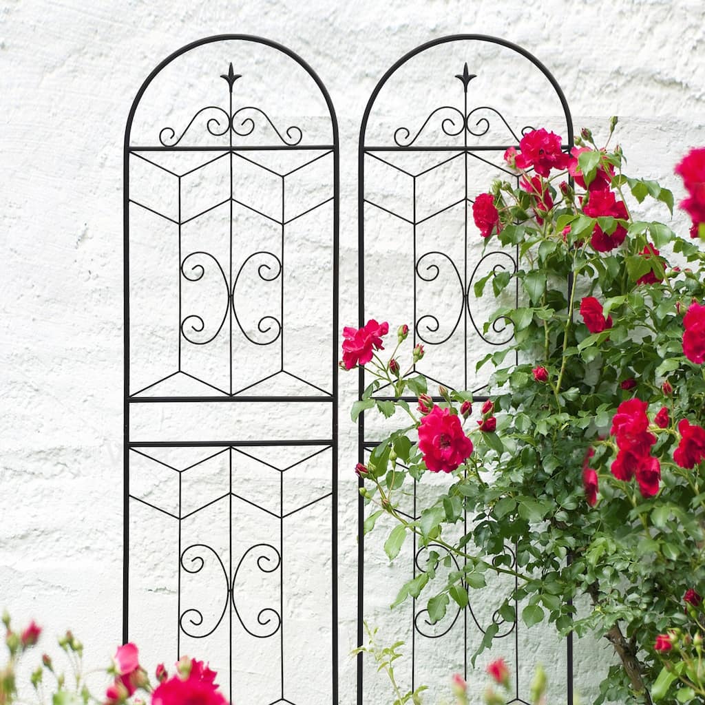 2 Pack Metal Garden Trellis 71in x 19.7in Rustproof Trellis