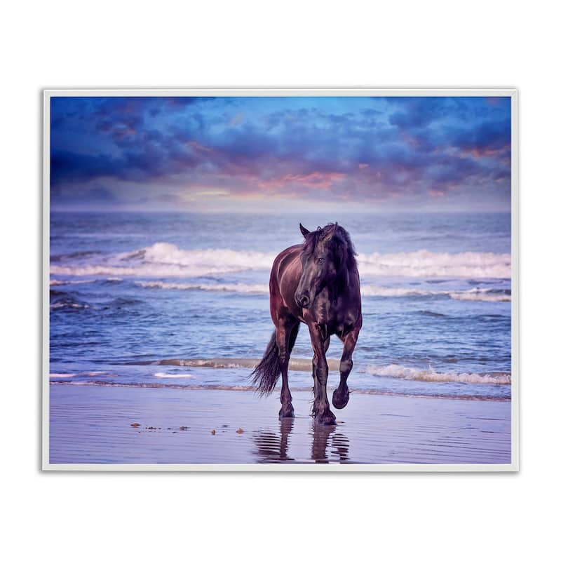 Stupell Wild Horse on Beach Colorful Blue Sunset Framed Giclee Texturized Art by PHBurchett - 11 x 14 - White
