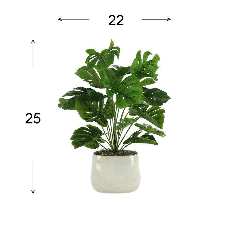 Split Leaf Philo Arrangement