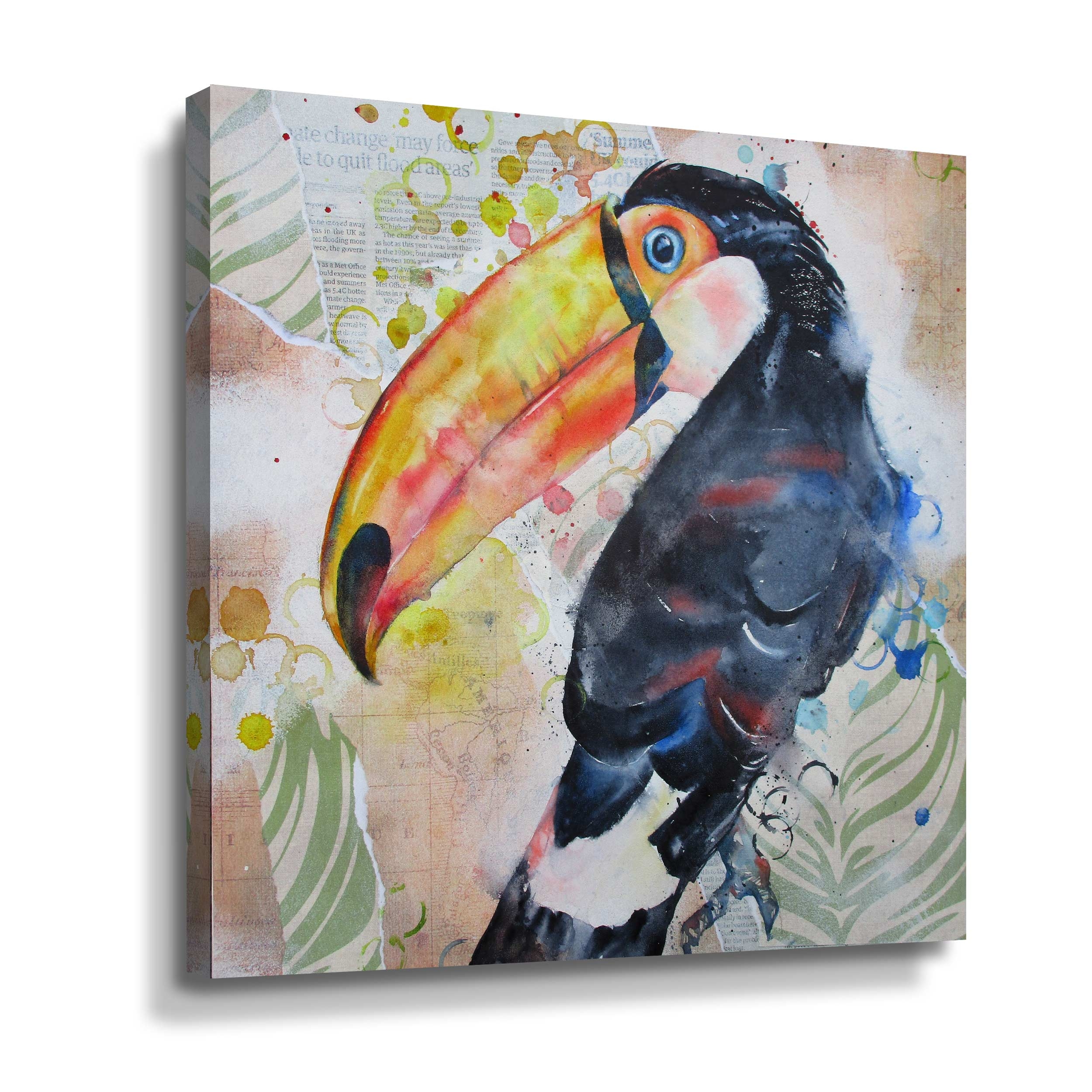 Toucan 4