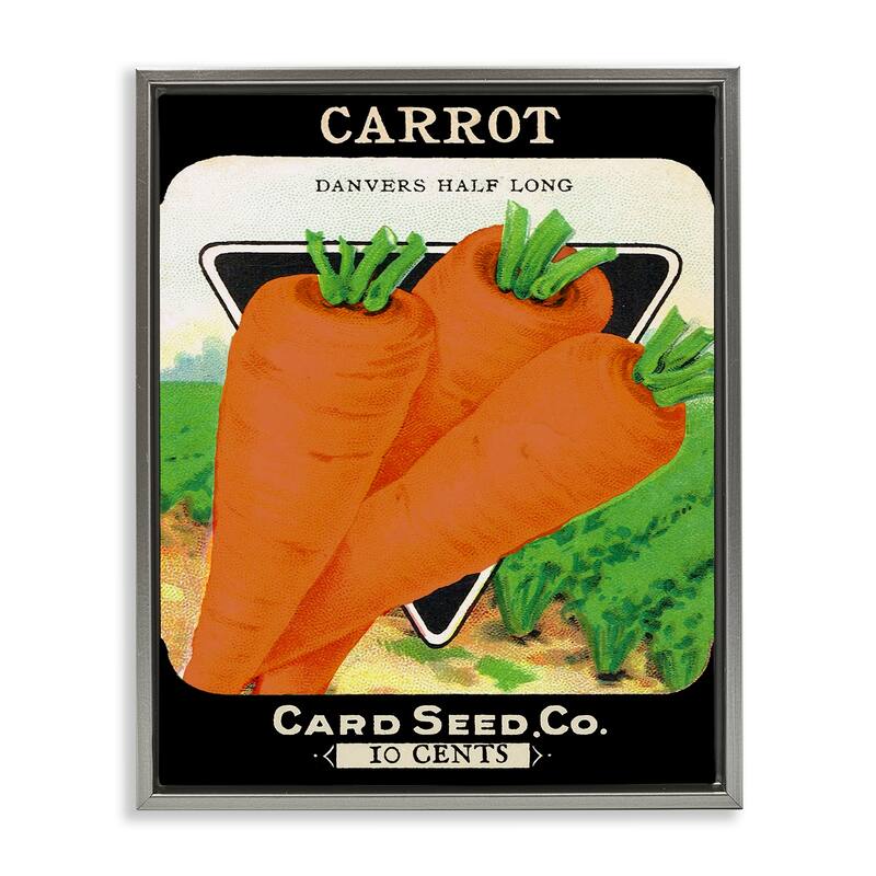 Stupell Vintage Garden Carrots Framed Floater Canvas Wall Art Design By Lil' Rue - 17 x 21 - Grey