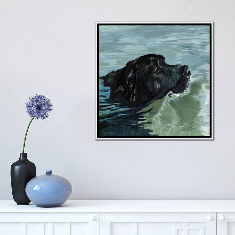 iCanvas "Black Lab Swimming" by Vicki Newton Framed Canvas Print