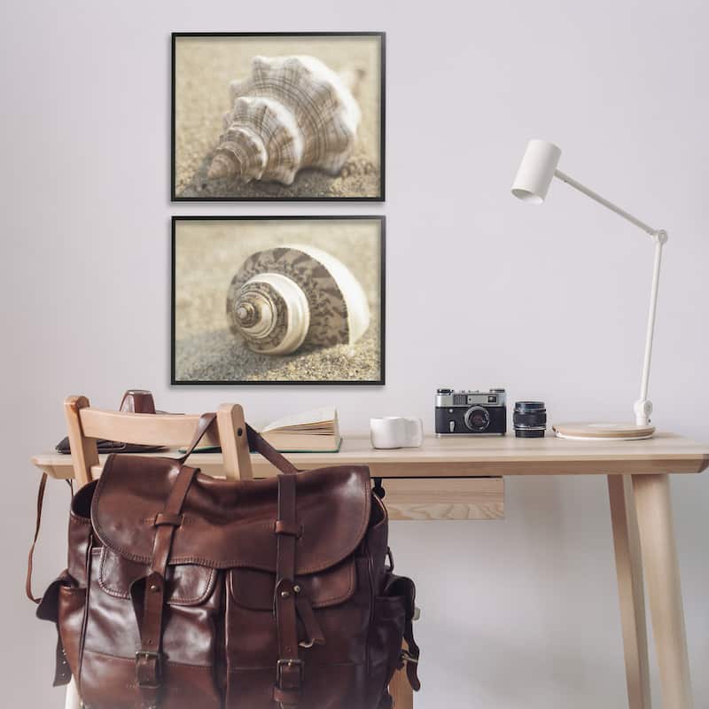 Stupell Neutral Tone Sea Life Framed Giclee Art Design By Dora Rotondella (Set of 2)