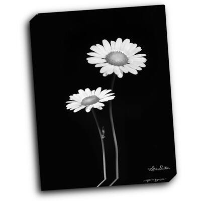 Pair of Daisies 16x20 Gallery Wrapped Stretched Canvas