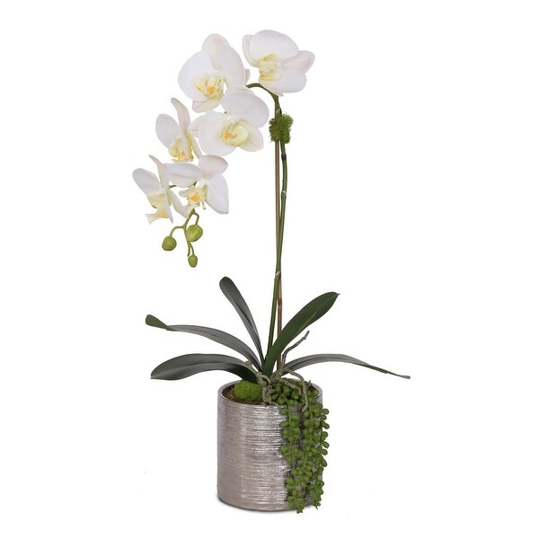 Real Touch White Orchid with Succulent Arrangement in Round Silver Pot ...