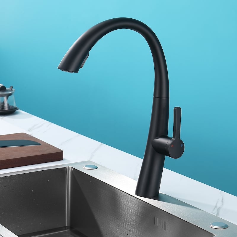 Single Handle Stainless Steel Pull Out Kitchen Faucet