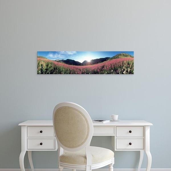 Easy Art Prints Panoramic Images's 'Albion Basin UT USA' Premium Canvas Art