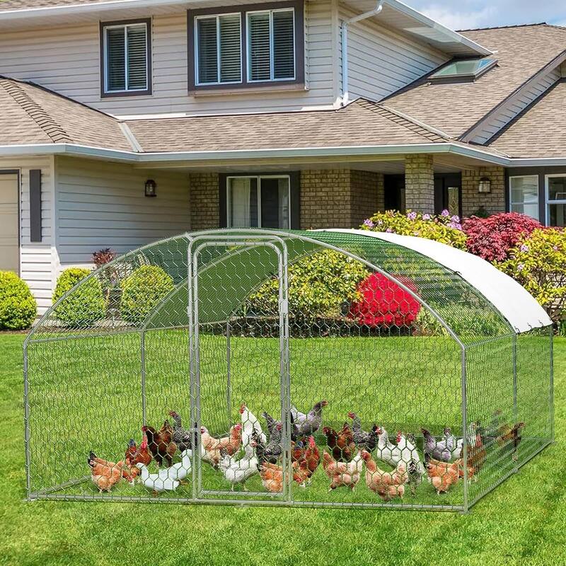 Large Walk-in Chicken Runs with Cover - 9.8×13.1×6.6FT