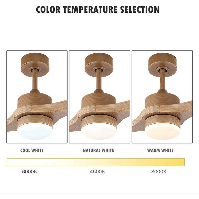WINGBO 52 inch 2 Blades Modern Ceiling Fan with Lights and Remote - N/A