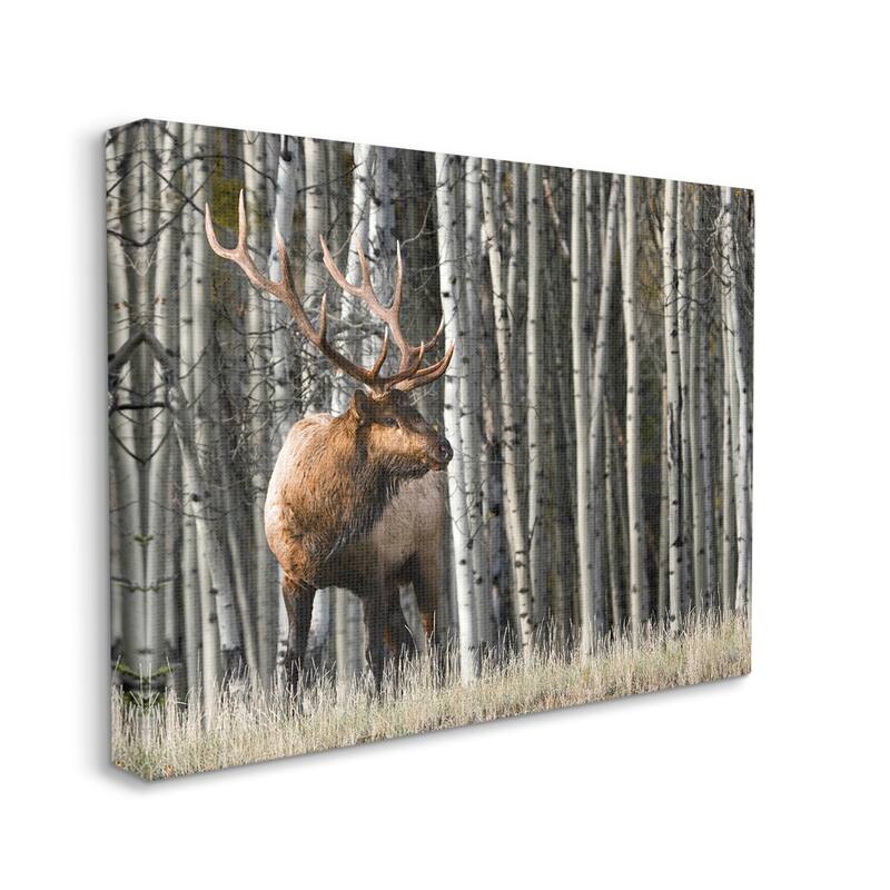 Stupell Elk Looming Out Birch Trees Animal Forest Photograph Canvas Wall Art - Grey