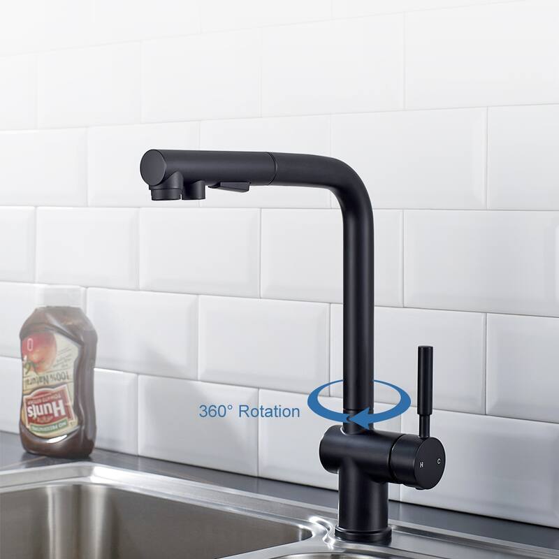 ALPHAUCET Single Handle Pull-Out Sprayer Kitchen Faucet