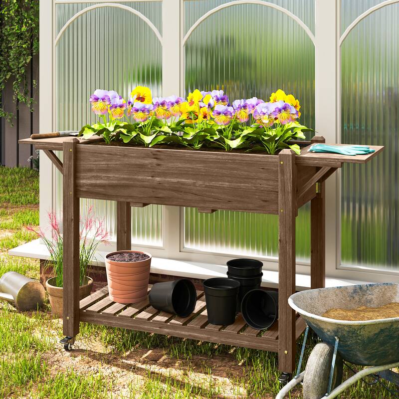 Raised Garden Bed with Storage Shelf and Foldable Ledges Fir Wood Planter for Indoor Outdoor Gardening