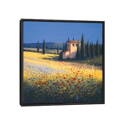 iCanvas "Summer Villa" by David Short Framed Canvas Print