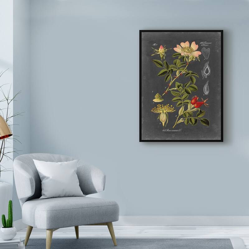 Vision Studio 'Midnight Botanical I' Canvas Art