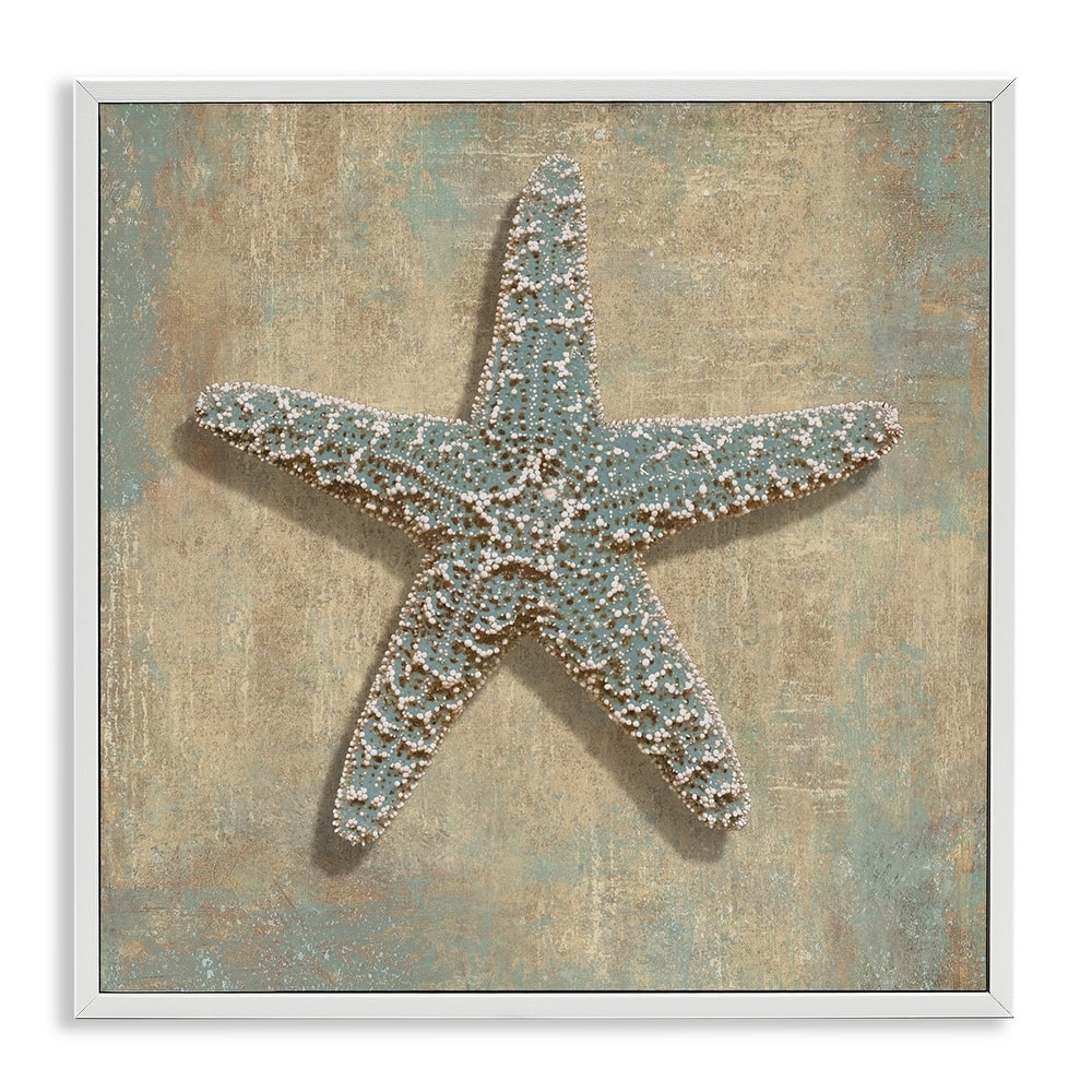Stupell Starfish Beach Objects Design,12 x 12, Framed Wall Art