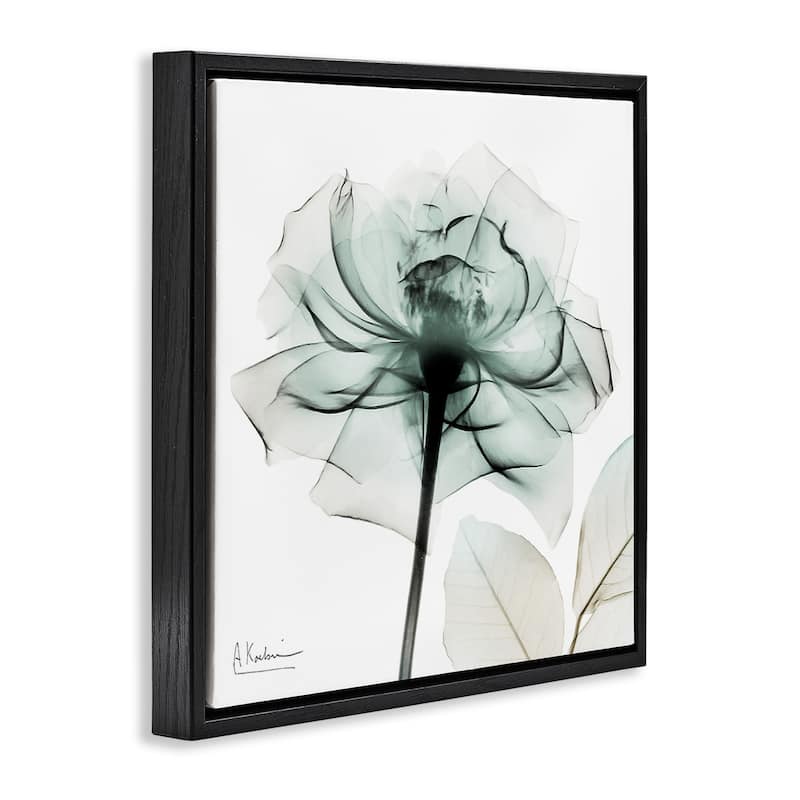 Stupell Transparent Flower Blossom Framed Floater Canvas Wall Art Design By Albert Koetsier