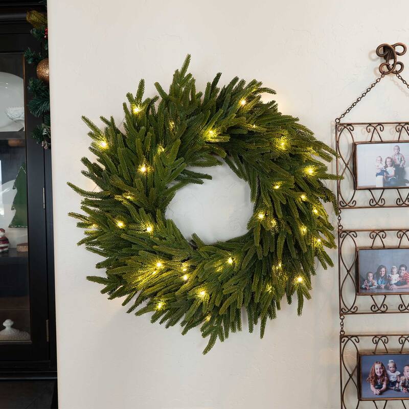 24 in. Pre-Lit LED Wreath - Norfolk