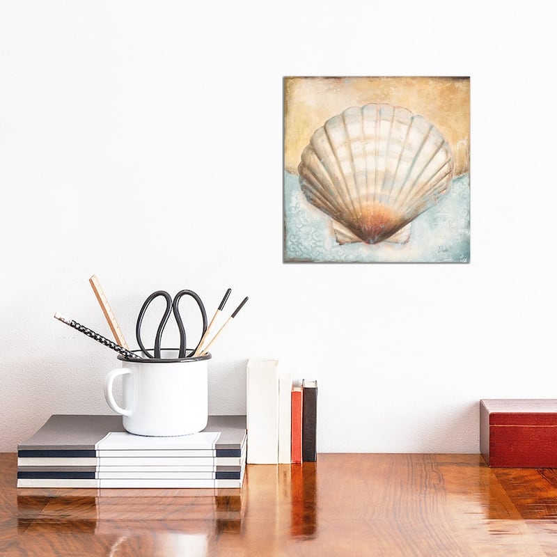iCanvas "Seashell Collection III" by Patricia Pinto Canvas Print - 12x12x1.5