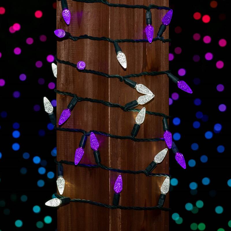 70 Light C6 LED Christmas Mini Light Set, Purple/Pure White, Green Wire, 24 Feet - Large