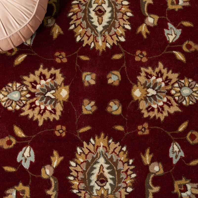 SAFAVIEH Handmade Total Performance Felisha Oriental Rug