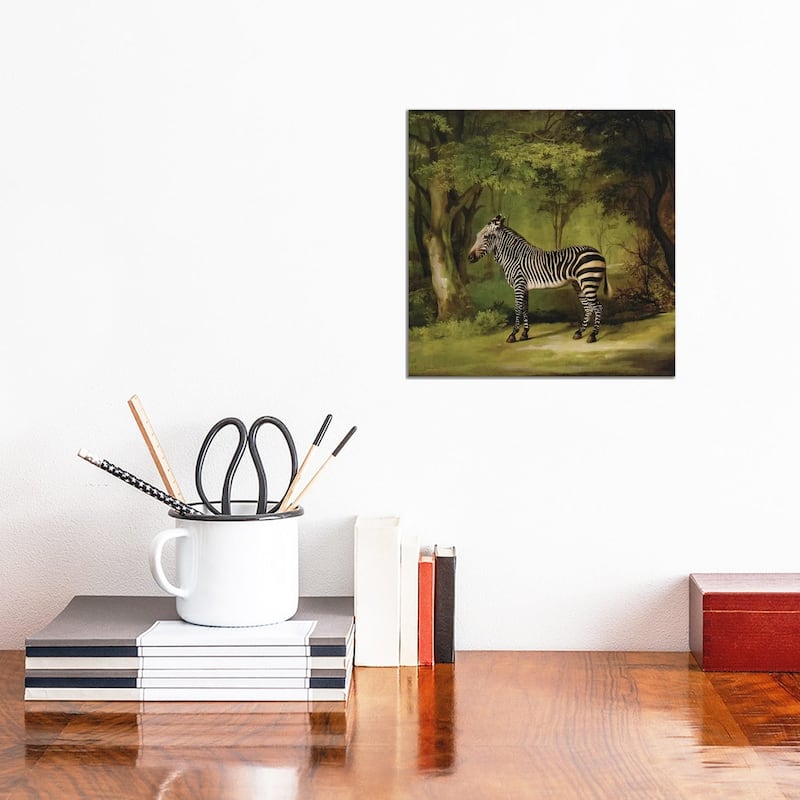 iCanvas "A Zebra, 1763 " by George Stubbs Canvas Print - 12x12x1.5