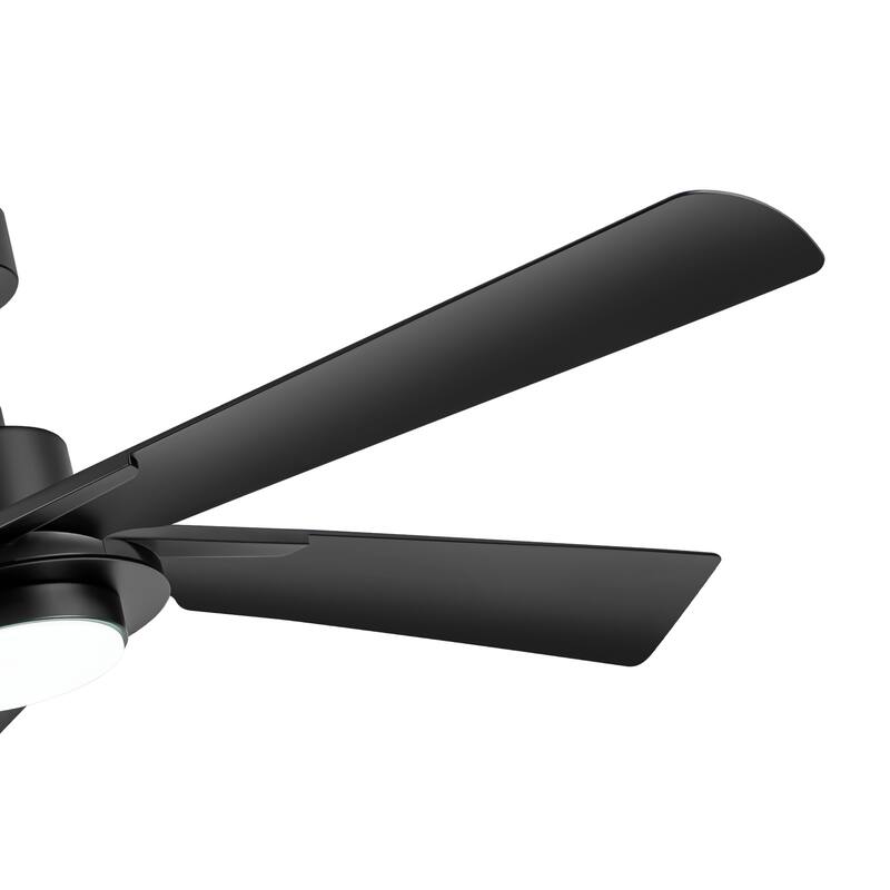 60" Modern Black ABS 5-Blade Propeller Ceiling Fan with Light and Remote