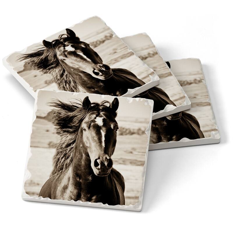 Counterart Absorbent Stone Coasters - Black Beauty - Set of 4 - 4x4x1.212