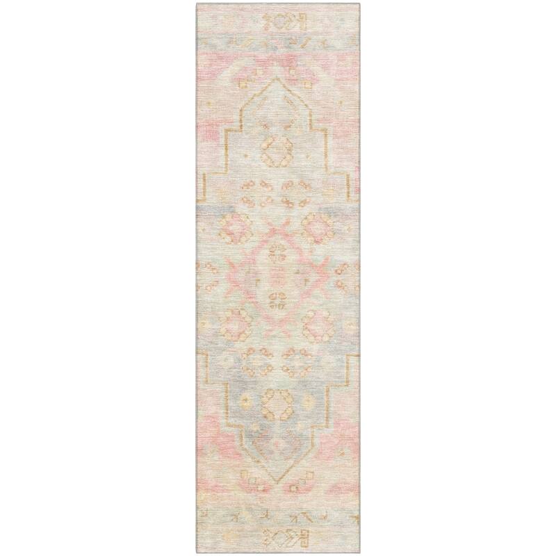 Premium Washable Super Soft Vintage Traditional Mayfield Rug