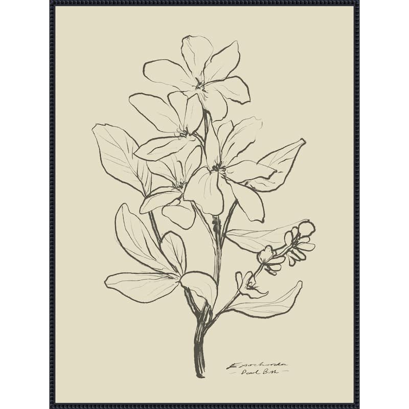Floral 1 by Dan Hobday Framed Canvas Wall Art Print - Sylvie Beaded Black