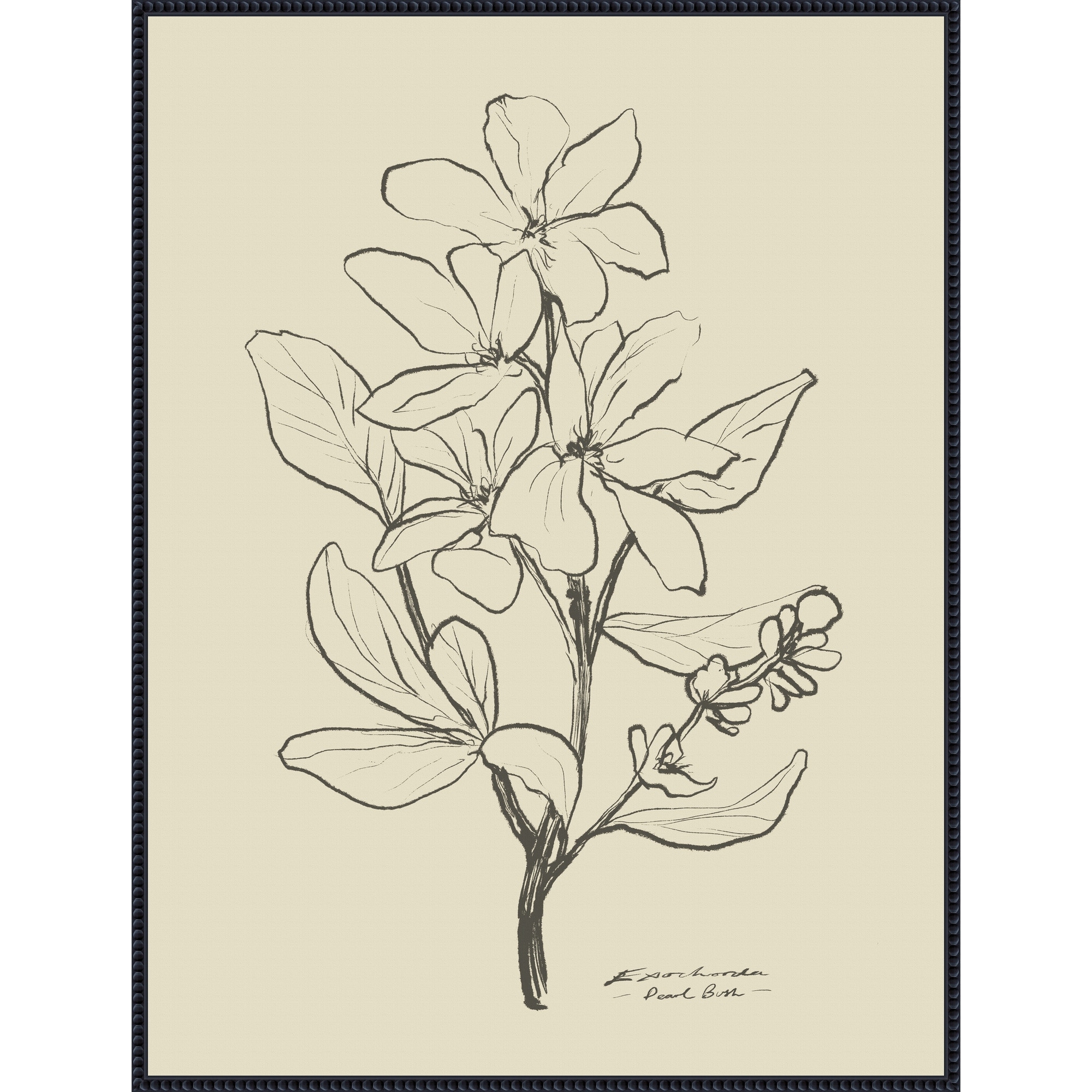 Floral 1 by Dan Hobday Framed Canvas Wall Art Print - Sylvie Beaded Black