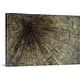 preview thumbnail 12 of 39, GreatBIGCanvas Modern Abstract Neutral Tan Brown Canvas Wall Art Print 24" x 16" - "Enmeshed"