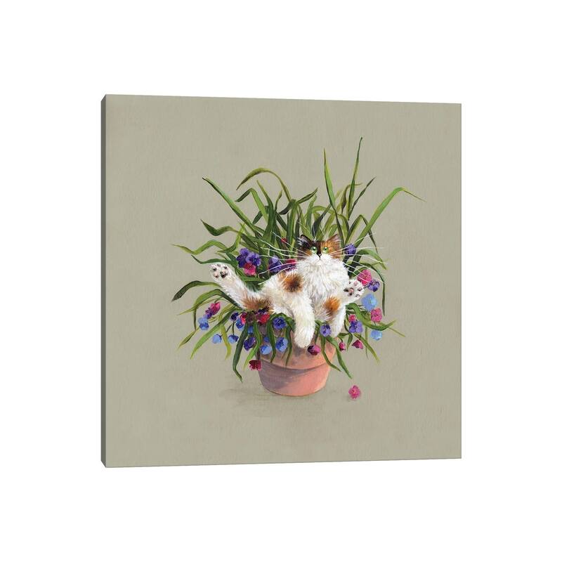 iCanvas "Flower Pot Bed" by Kim Haskins Canvas Print