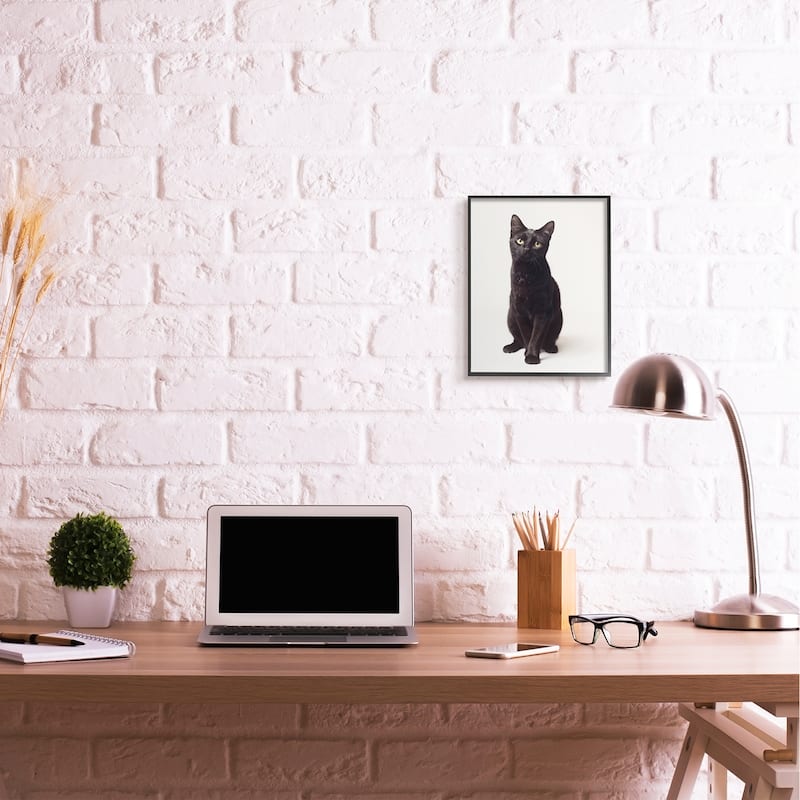 Stupell Cute Black Cat Expressive Eyes Pet Portrait Framed Giclee Texturized Art by Marika Moffit