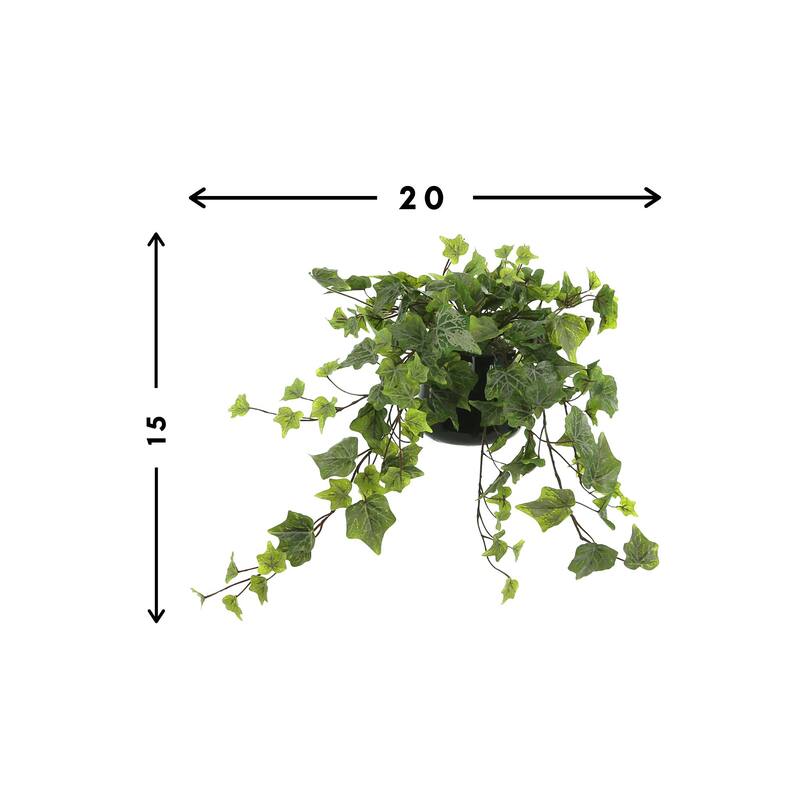 Ivy Arrangement in a Glass Vase - Green