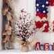 Option Patriotic with star