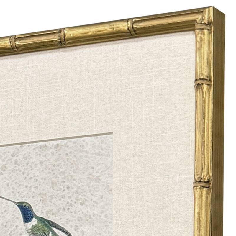 Paragon Antique Hummingbirds Framed Art - Set of 4