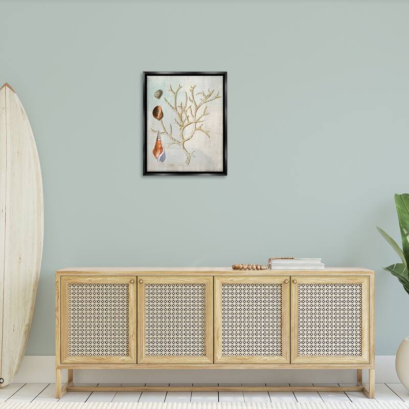 Stupell Seashells and Coral Branch Framed Floater Canvas Wall Art Design By Susan Arnot