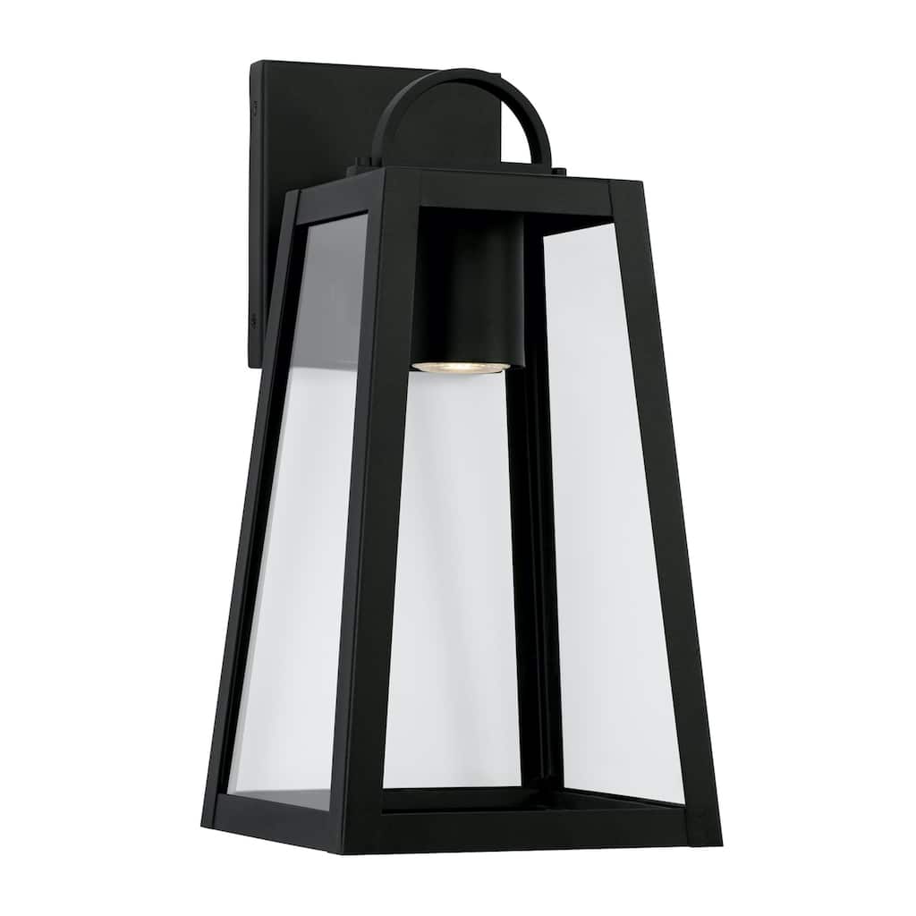 Leighton 16" Tall 1-light Minimal Light Pollution Outdoor Wall Lantern w/ Clear Glass