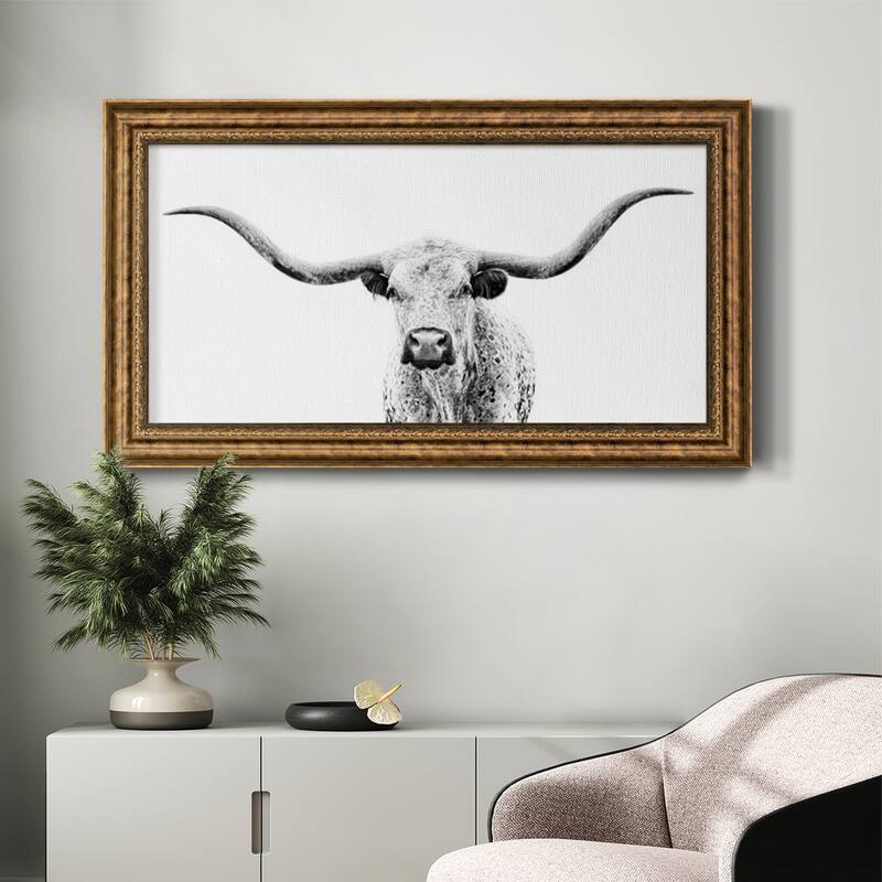Longhorn Gaze Premium Framed Canvas- Ready to Hang