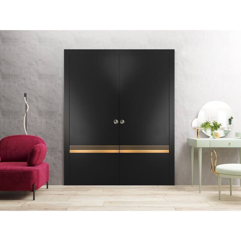 French Double Pocket Doors 36x80 Planum 2010 Matte Black Kit Trims Rail