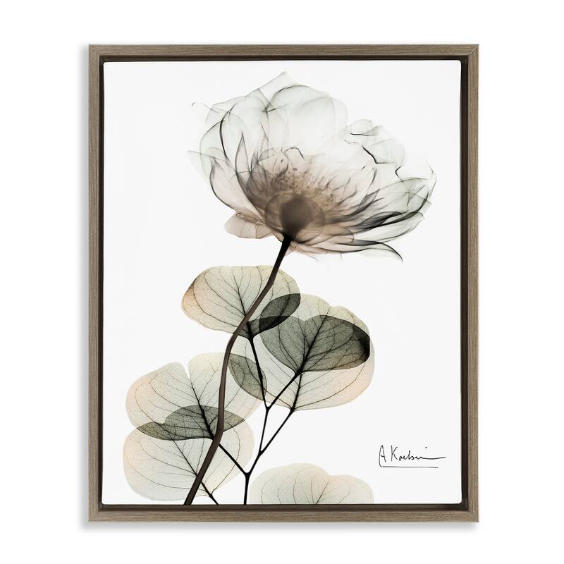 Stupell Simple Elegant White Flower Framed Floater Canvas Wall Art Design By Albert Koetsier - 25 x 31 - Brown