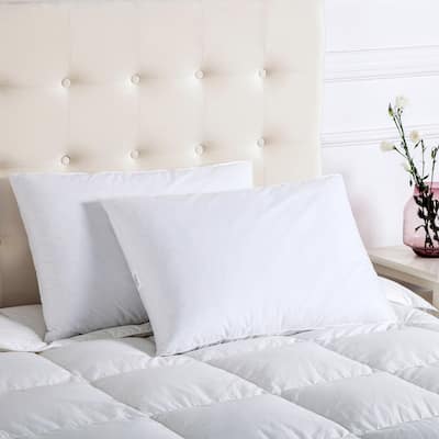 Firefly Twin Pack White Feather and Down Blend Pillow