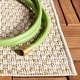 preview thumbnail 18 of 76, SAFAVIEH Sisal All-Weather Onorina Transitional Indoor/Outdoor Rug