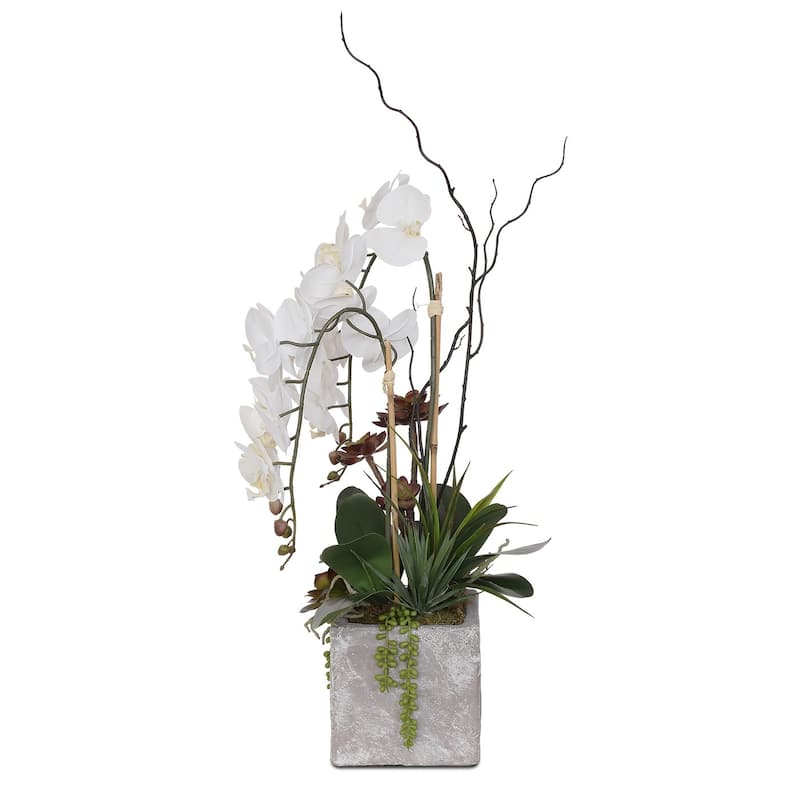 Real Touch White Orchid with Succulent Arrangement in Square Stone Pot - 15W x 12D x 21H