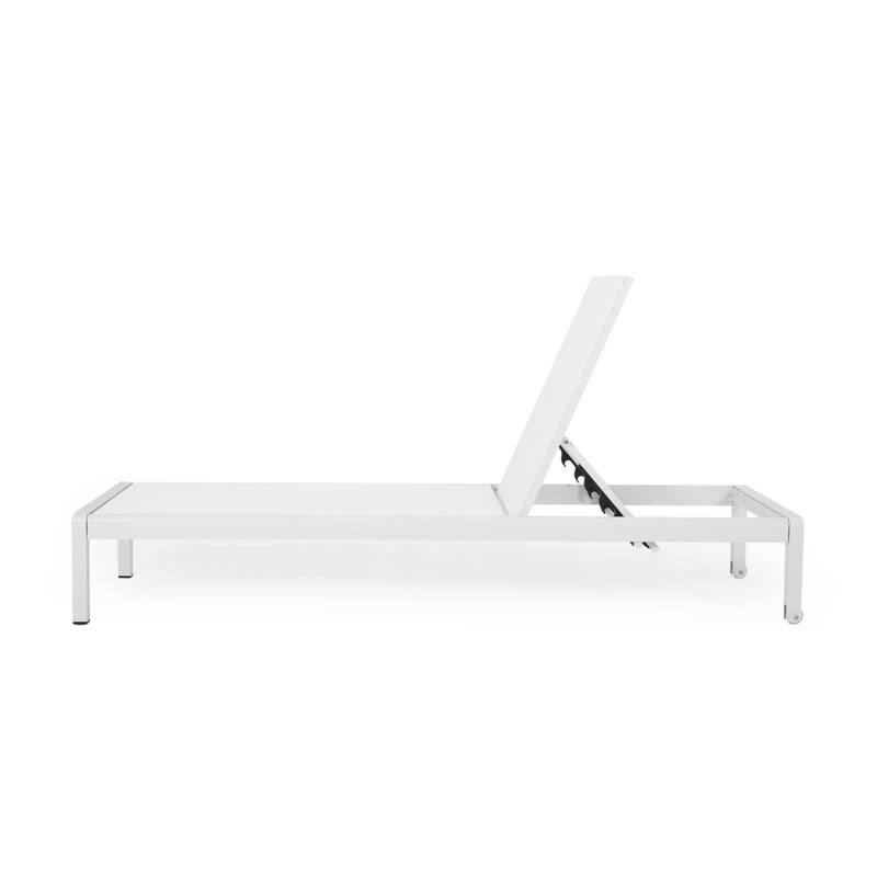 Roomfitters Adjustable Outdoor Chaise Lounge Chair, Modern Patio Recliner with Aluminum Frame