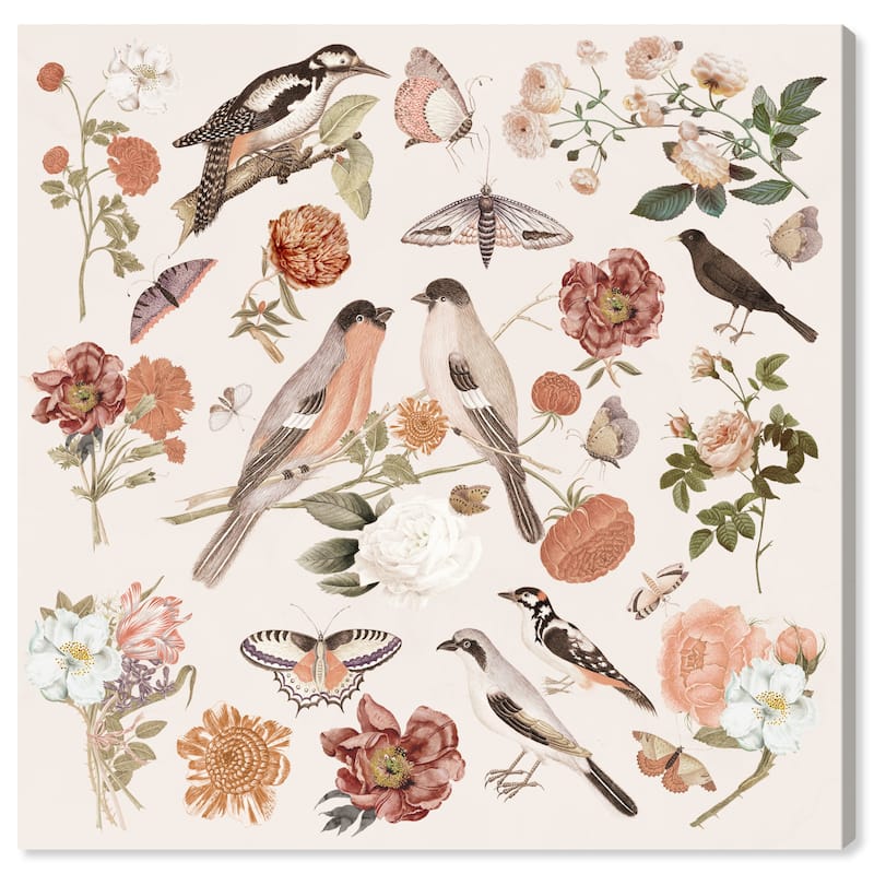 Wynwood Studio Canvas Floral and Botanical Bird Sighting IV White and Cream White Farmhouse Wall Art Canvas Print
