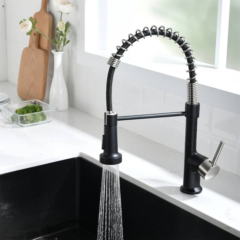 Single Handle Single Lever Kitchen Faucet with Pull Down Sprayer