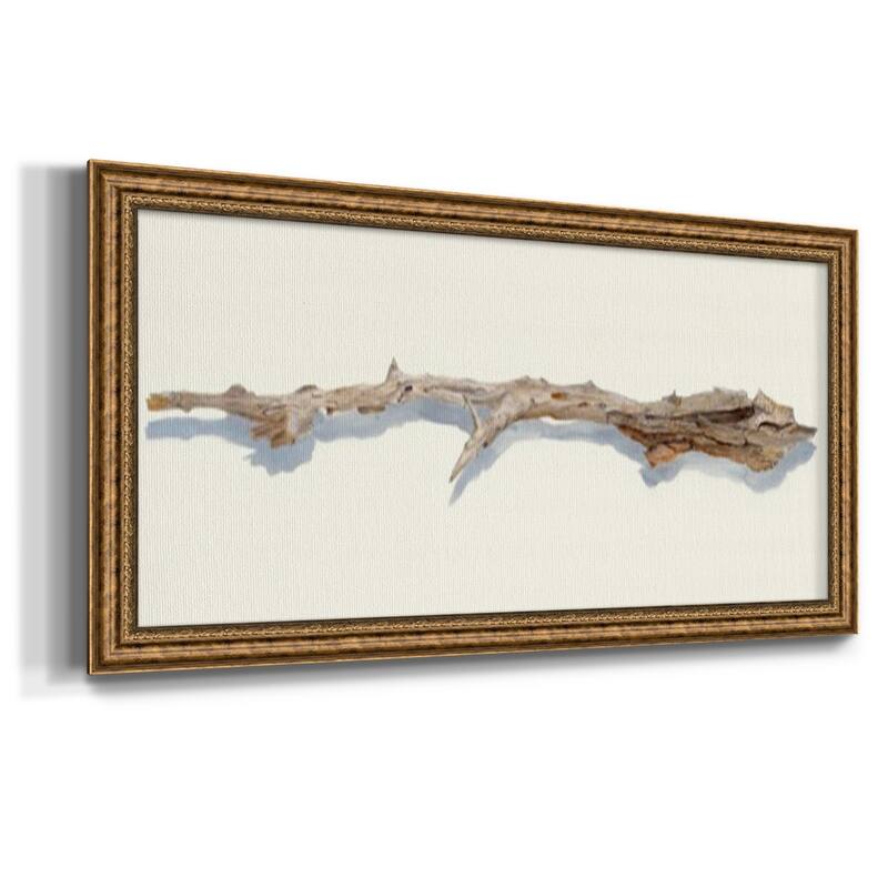 Driftwood Study I Premium Framed Canvas- Ready to Hang
